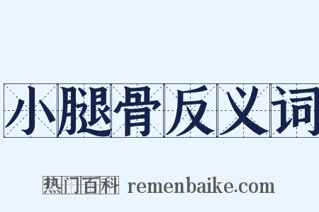 小腿骨反义词是什么意思的图片